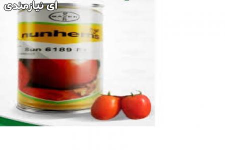 فروش بذر گوجه فرنگی سانسید6189