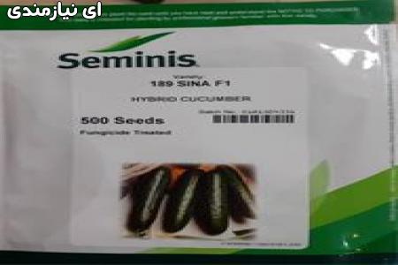 فروش بذر خیار SINA 189 سیمینس