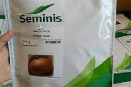 فروش بذر پیاز گلدن ای سیمینس