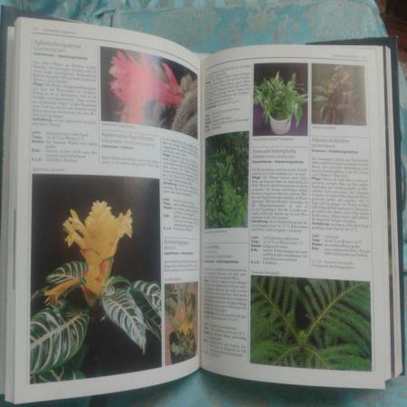 کتاب آلمانی گلها و گیاهان آپارتمانی، گلخانه ای و باغبانی