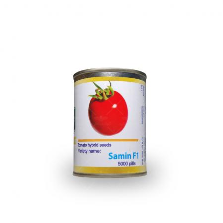فروش بذر گوجه فرنگی ثمین F1