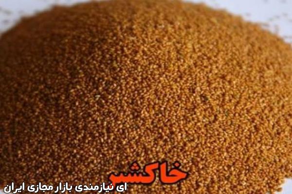 فروش بذر خیار SINA 189 سیمینس