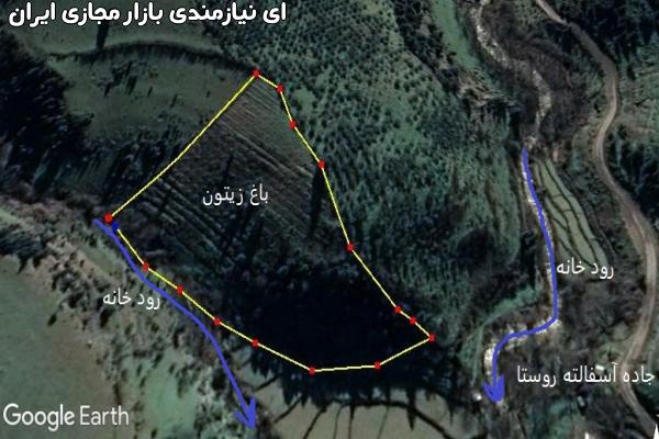 *باغ زیتون ومیوه در کنار رود * بهشت گیلا ن*