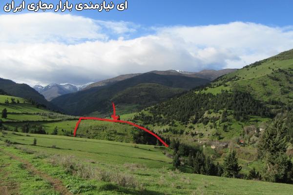 *باغ زیتون ومیوه در کنار رود * بهشت گیلا ن*