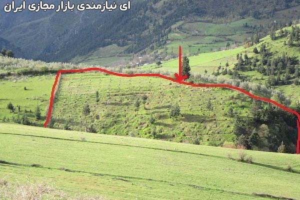 *باغ زیتون ومیوه در کنار رود * بهشت گیلا ن*