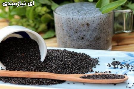 پت شاپ در پونک،فروش انواع غذای سگ،گربه و پرنده،انواع غذای خش ...