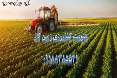 مزیت های استفاده از بنتونیت در کشاورزی