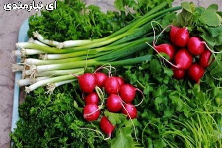 تولید و پخش محصولات خانگی