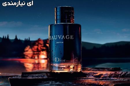 عطرهای دیور با قیمت مناسب در فروشگاه عطر و ادکلن الیت استور