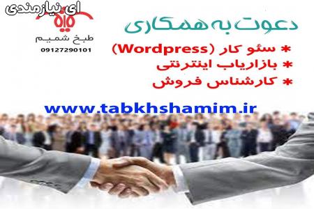متخصص seo
