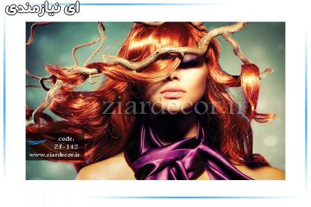 فروش انواع پوستر دیواری در طرح های مختلف