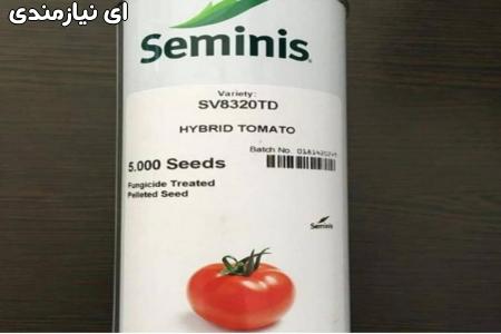 فروش بذر گوجه فرنگی سمینس8320