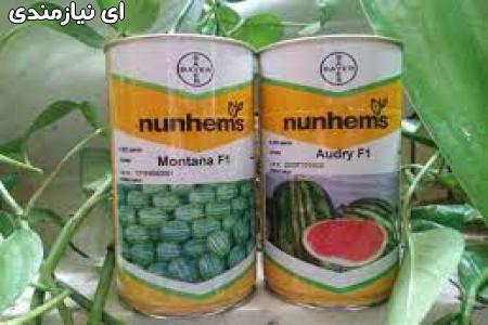 فروش بذر هندوانه مونتانا