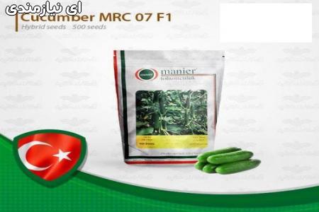 فروش بذر خیار MRC07