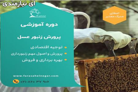 دوره آموزشی زنبورداری مدرن و تولیدعسل ارگانیک