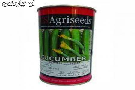 فروش بذر خیار یو اس اگریسیدز( US Agriseeds )