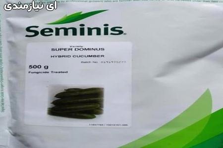 فروش بذر خیار سوپر دومینوس ( SuperDominus )