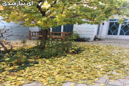 هنرهای تجسمی،نمایشی،صنایع دستی ،خدمات آموزشی،امورمالی و بازرگانی