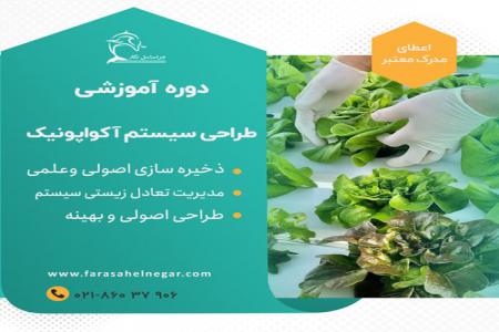 چگونه یک سیستم پرورش ماهی و گیاه راه اندازی کنیم