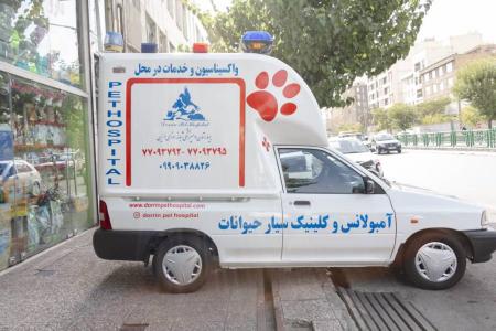 کلینیک دامپزشکی و بیمارستان شبانه روزی حیوانات و پت شاپ درین