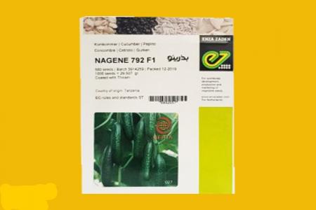فروش بذر خیار ناگین ( NAGIN )