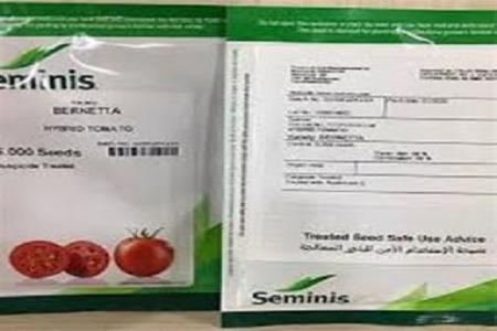فروش بذر گوجه فرنگی برنتا سیمینس