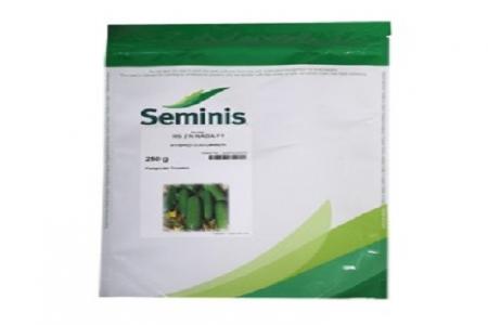 فروش بذر خیار 2N نادا سیمینس