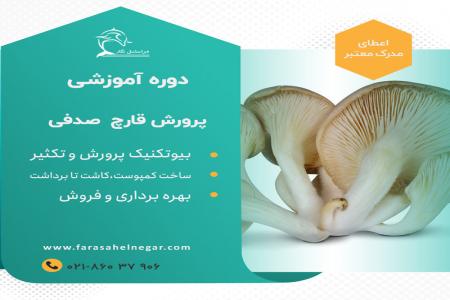 دوره های آموزشی پرورش قارچ و تولید قارچ صدفی