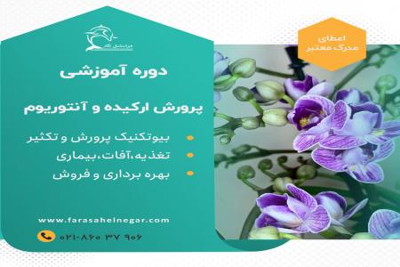 دوره آموزشی پرورش گل ارکیده و آنتوریوم