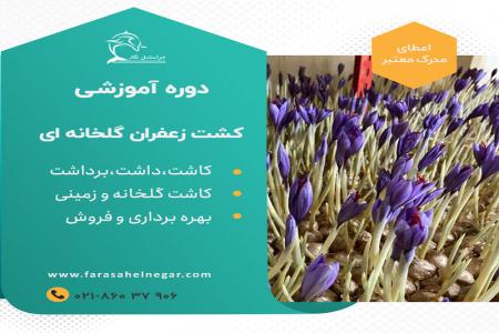 دوره آموزشی کشت زعفران گلخانه ای