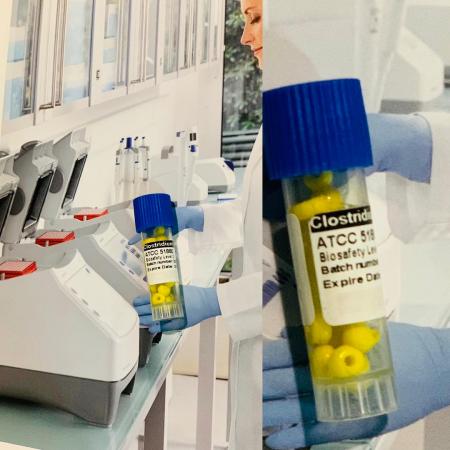 سوش باکتری salmonella enteriaca subsp