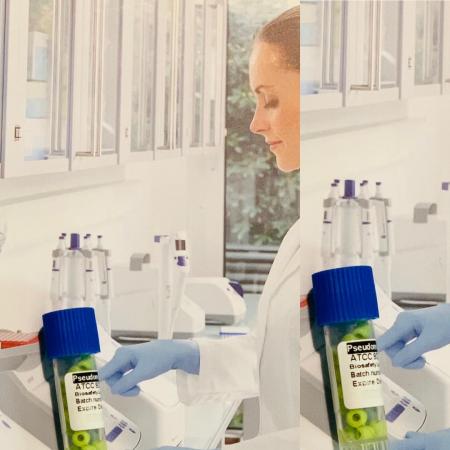 سوش باکتری salmonella enteriaca subsp