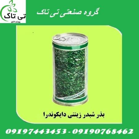 بذر چمن ، بذر چمن دایکوندرا ،شبدر زینتی - 09190768462