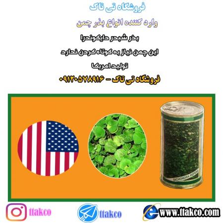 بذرچمن ، بذر چمن فوتبال