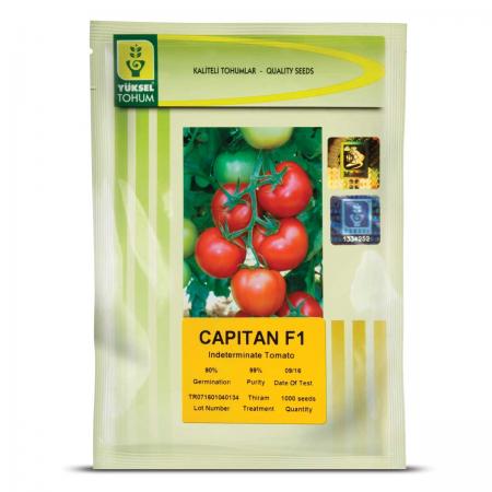 فروش بذر گوجه فرنگی کاپیتان