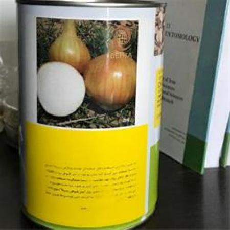 فروش بذر پیاز زودرس انزا چلسی