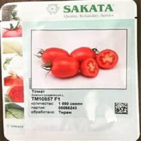 فروش بذر گوجه فرنگی ساکاتا