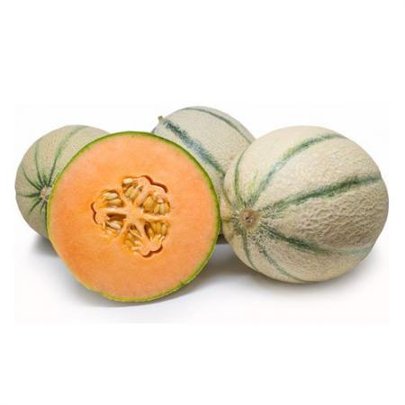 فروش بذر طالبی سمسوری