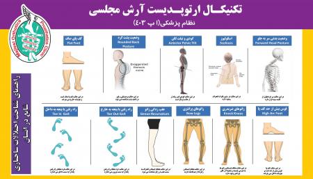 درمان درد پاشنه و خار پاشنه در کلینیک ارتوپدی فنی مجلسی