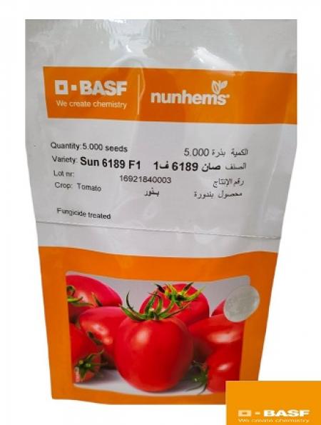 بذر گوجه سانسید 6189