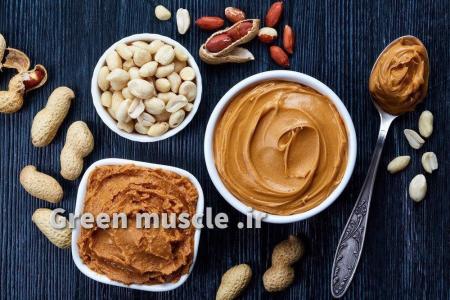 ‏‎انجمن تغذیه گیاه خواری