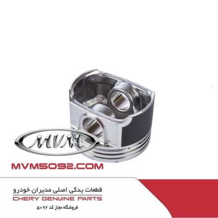 درب عقب راست اکستریم XTRIME VX