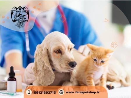 سگ آپارتمانی واکسن خورده کرج