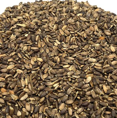 انواع بذر گیاهان دارویی
