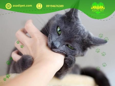 ‏‎واکسیناسیون حیوانات خانگی