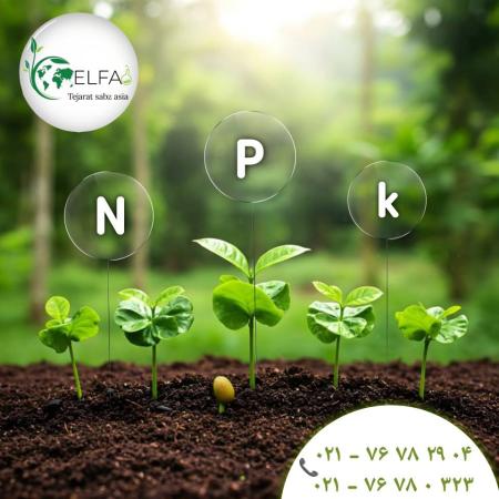 خرید کود کاملNPK مخصوص کشاورزی با بهترین قیمت عمده و ارسال سریع