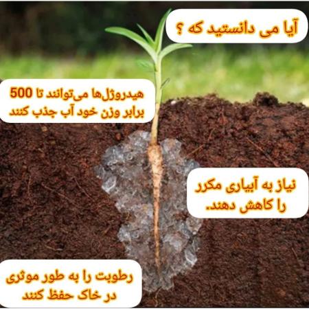 فروش انواع هیدروژل های کشاورزی- افزایش بهره وری کشاورزی با بهترین قیمت
