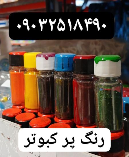 مجموعه کوروش تولید کننده رنگ پر کبوتر