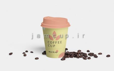 فروش عمده ظروف یکبار مصرف