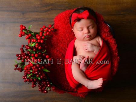 قیمت کلیپ فضای باز